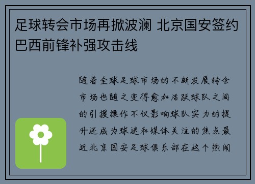 足球转会市场再掀波澜 北京国安签约巴西前锋补强攻击线 足球转会市场再掀波澜 北京国安签约巴西前锋补强攻击线